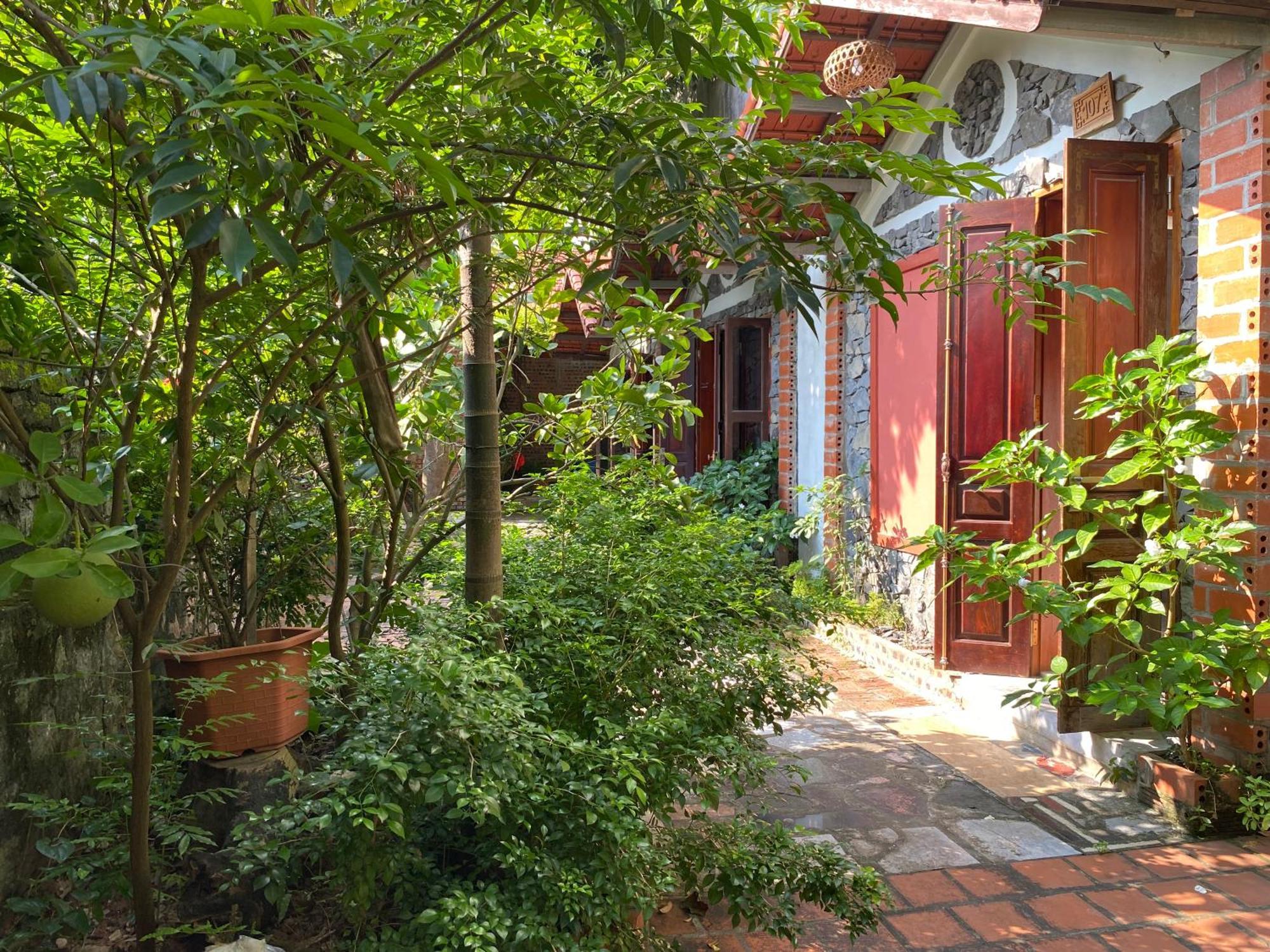 Tam Cốc Ngô Đồng homestay&Vegan restaurant Ninh Bình Extérieur photo